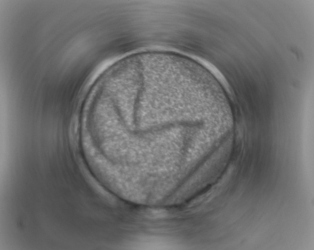 X0000113540911200910161409
