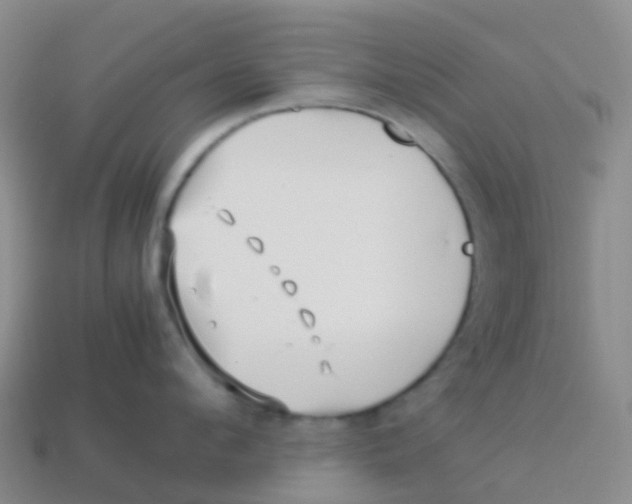 X0000113540912200910161409