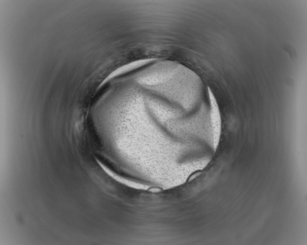 X0000113540914200910161409