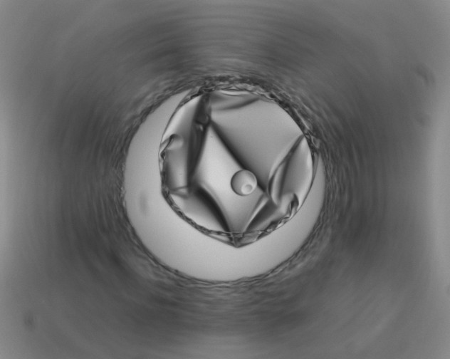 X0000113540916200910161409