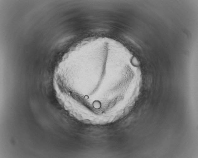 X0000113540917200910161409