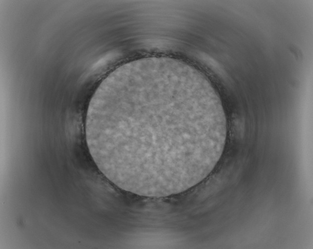 X0000113540918200910161409