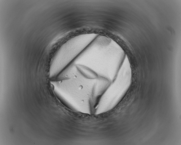 X0000113540919200910161409