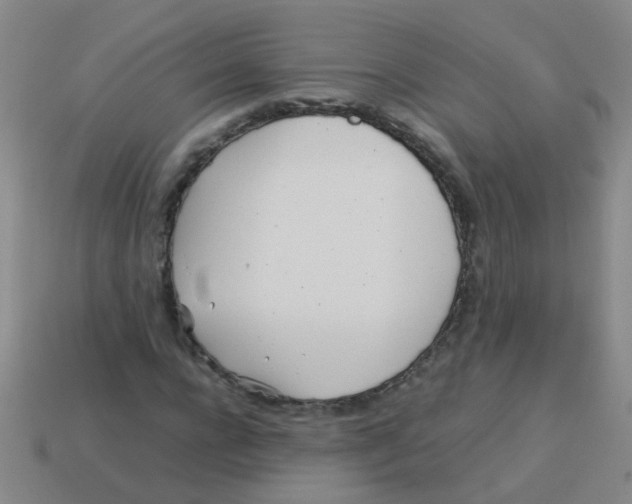 X0000113540920200910161409