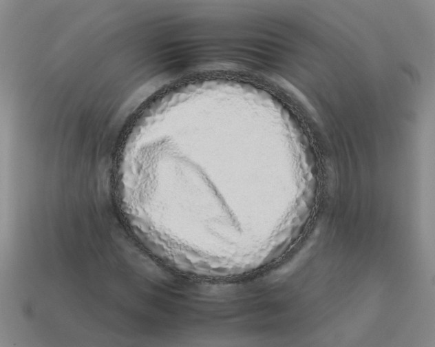 X0000113540921200910161409