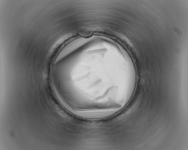X0000113540922200910161409