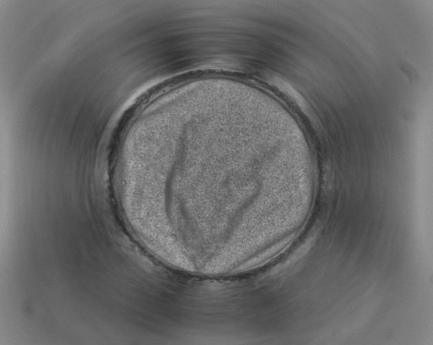 X0000113540923200910161409