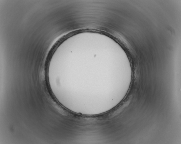 X0000113540924200910161409