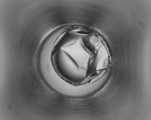 X0000113540925200910161409