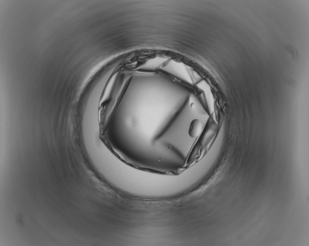 X0000113540926200910161409