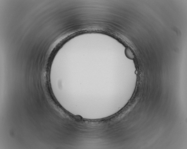 X0000113540928200910161409
