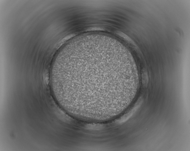 X0000113540929200910161409