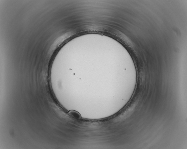 X0000113540930200910161409