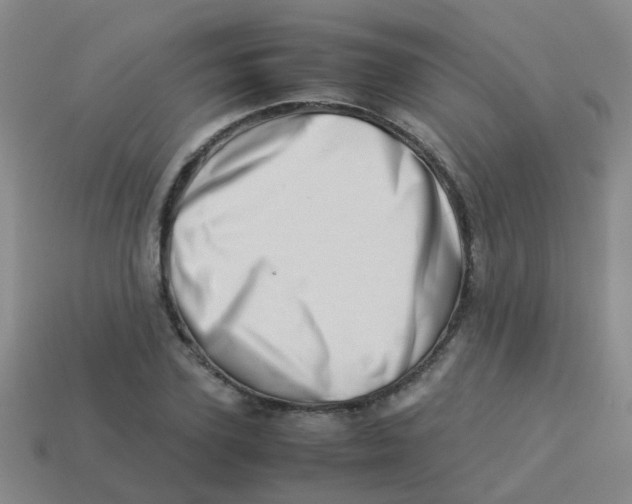 X0000113540931200910161409