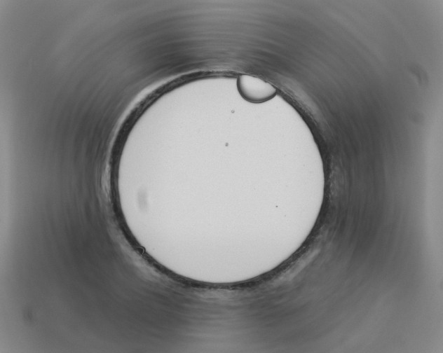X0000113540932200910161409
