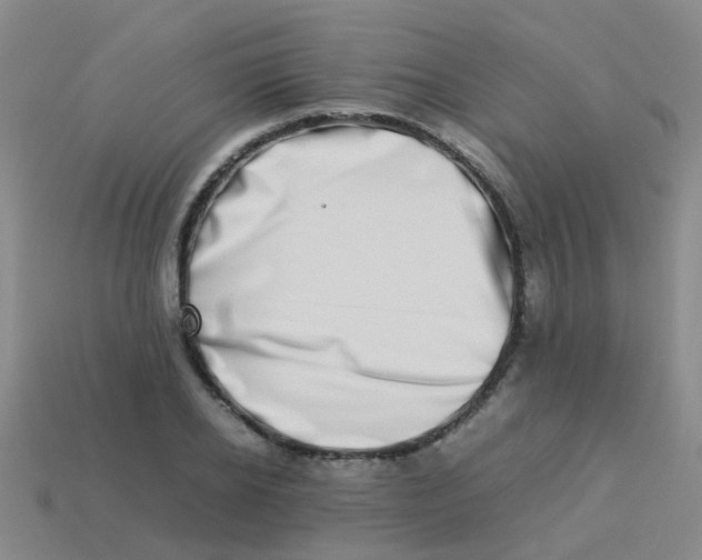 X0000113540934200910161409