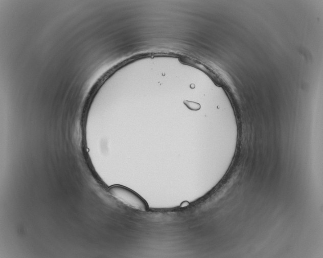 X0000113540936200910161409