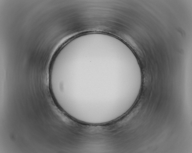 X0000113540940200910161409