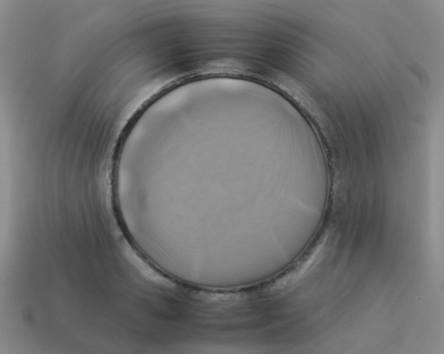 X0000113540941200910161409