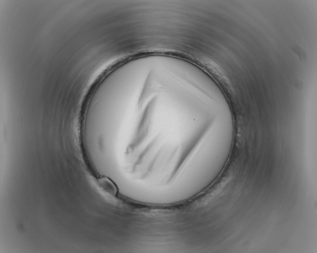 X0000113540942200910161409