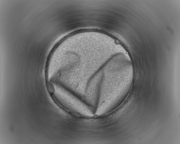 X0000113540943200910161409