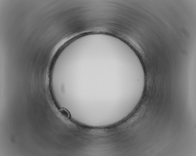 X0000113540944200910161409