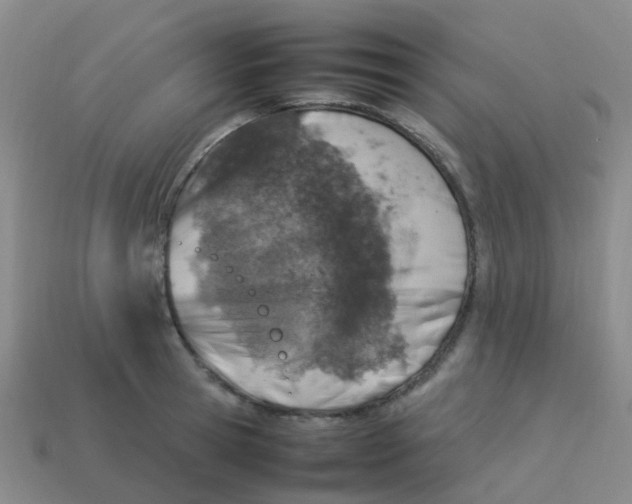 X0000113540945200910161409