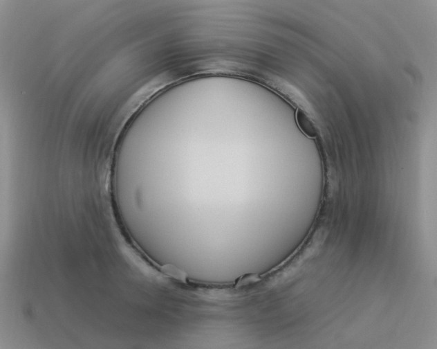 X0000113540946200910161409