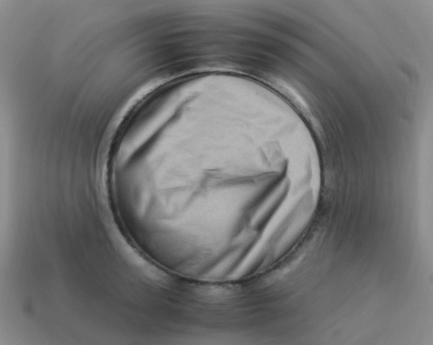 X0000113540947200910161409