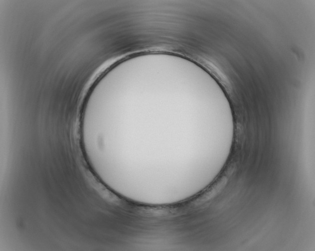 X0000113540948200910161409