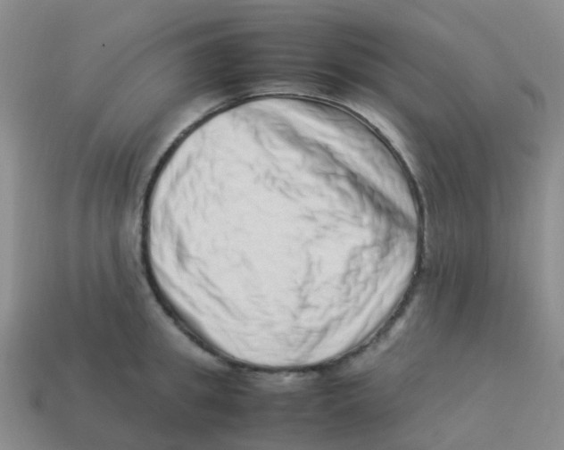 X0000113540949200910161409
