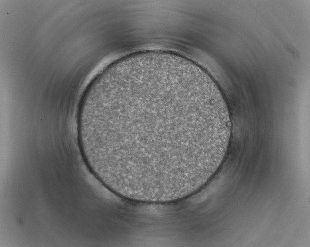 X0000113540950200910161409