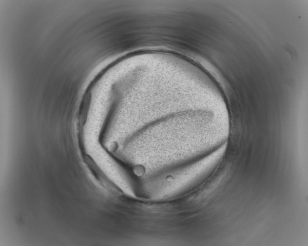 X0000113540951200910161409