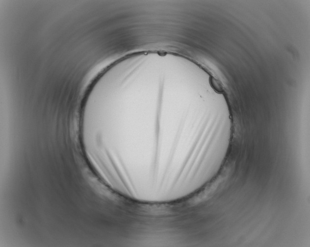 X0000113540952200910161409