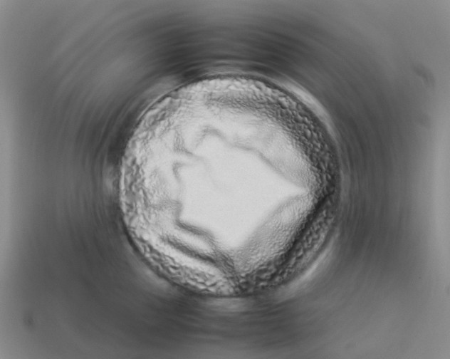 X0000113540953200910161409