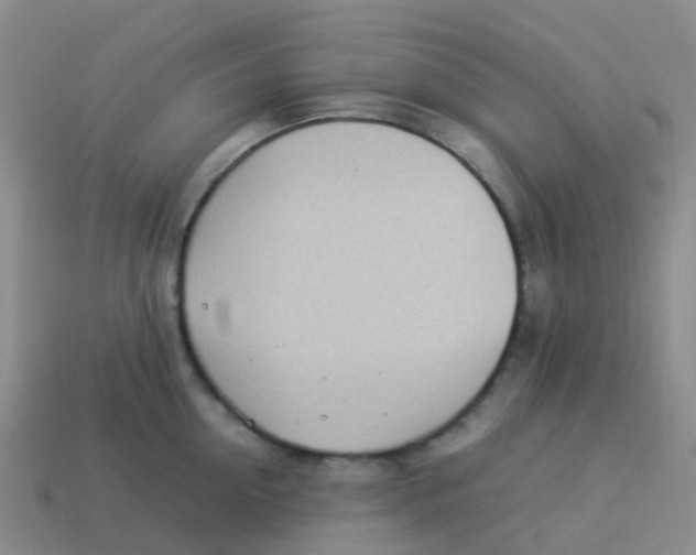 X0000113540954200910161409