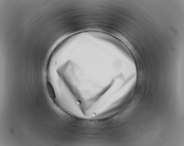 X0000113540955200910161409