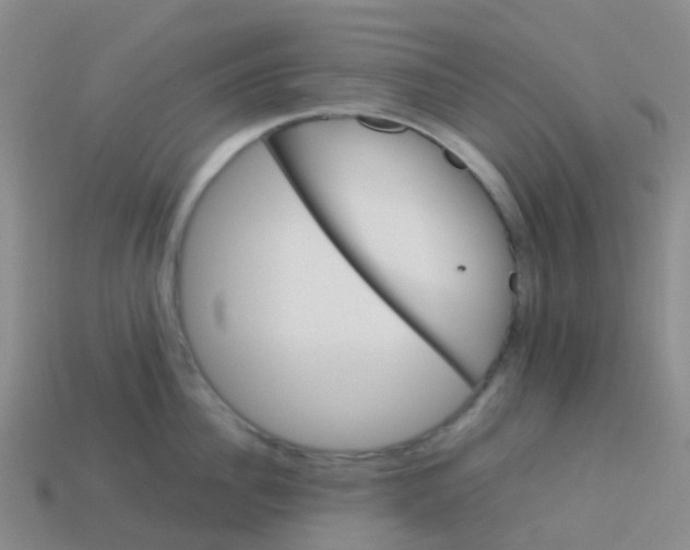 X0000113540956200910161409