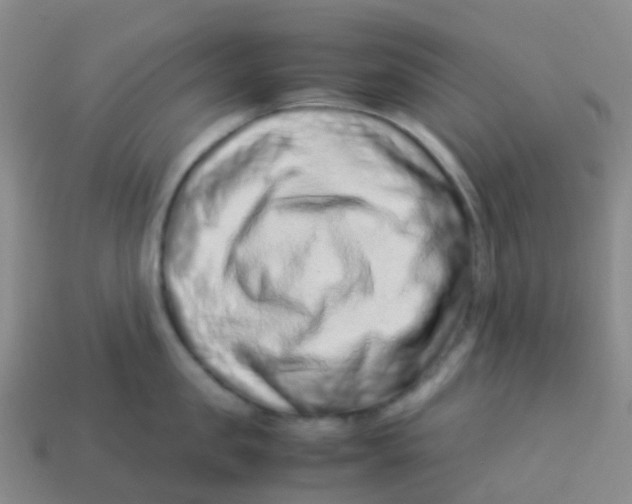 X0000113540957200910161409