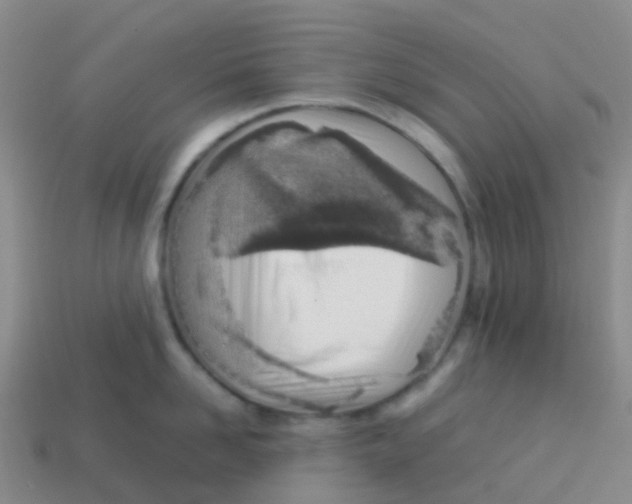 X0000113540958200910161409