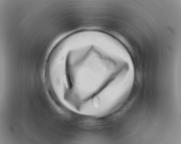 X0000113540959200910161409