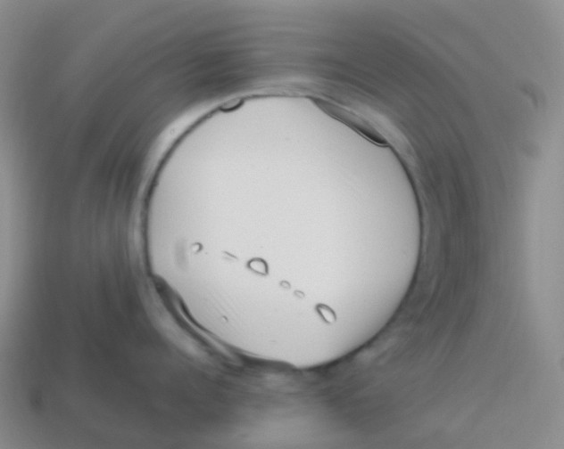 X0000113540960200910161409