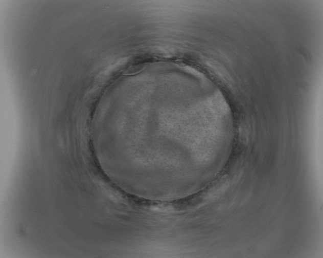 X0000113540961200910161409