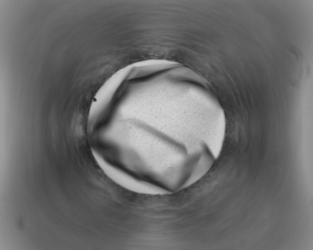 X0000113540962200910161409