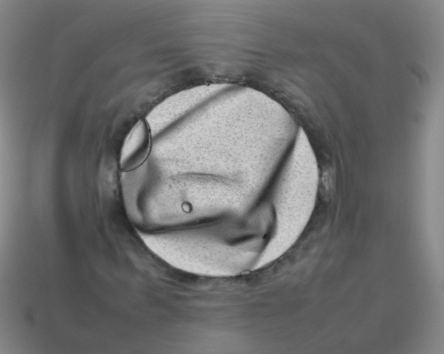 X0000113540963200910161409