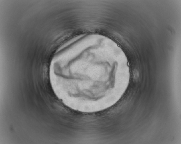 X0000113540964200910161409