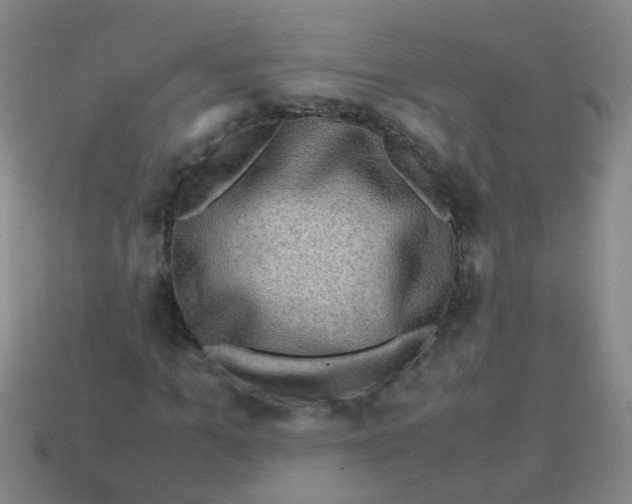 X0000113540965200910161409