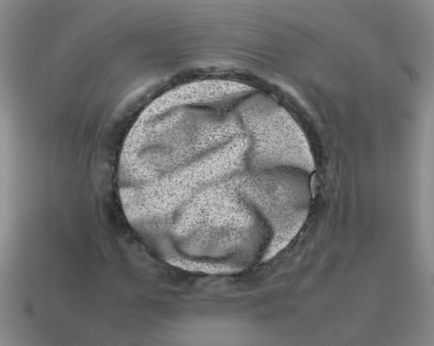X0000113540967200910161408
