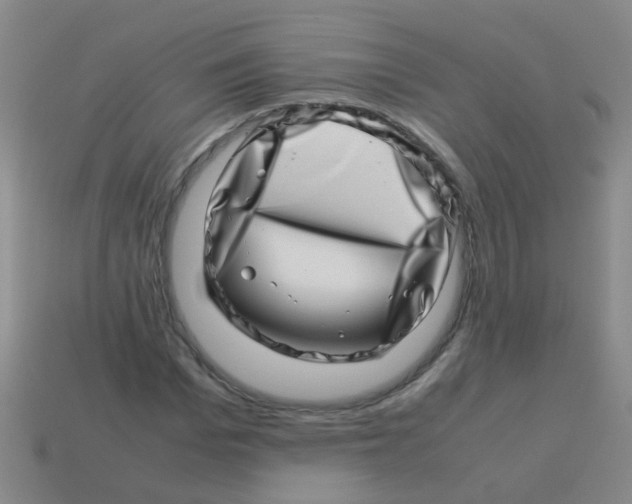 X0000113540969200910161408