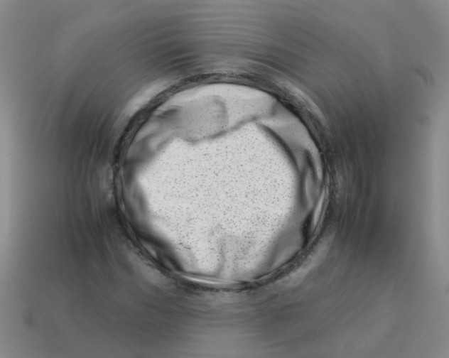 X0000113540970200910161408